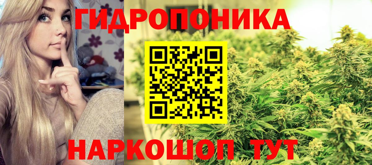 МАРИХУАНА планчик Канаш